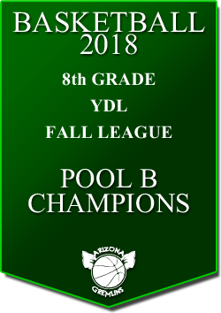 banner 2018 LEAGUE CHAMPS Fall YDL 8th