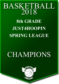 banner 2018 LEAGUE CHAMPS Spring 8th