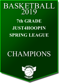 banner 2019 LEAGUE Champs 7th spring