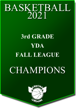 banner 2021 LEAGUE Champs YDA 9U FALL