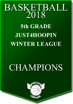 banner 2018 LEAGUE CHAMPS Winter 5th