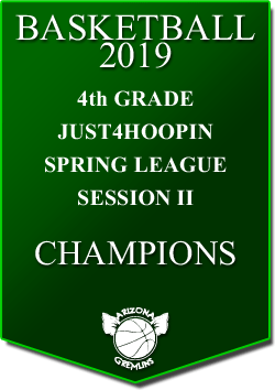 banner 2019 LEAGUE Champs 4th spring