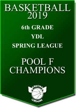 banner 2019 LEAGUE Champs YDL 6th spring