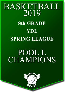 banner 2019 LEAGUE Champs YDL 8th spring
