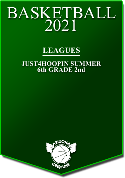 banner 2021 LEAGUES