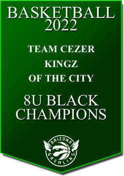 banner 2022 TOURNEYS Champs KINGZ-8U