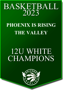 banner 2023 TOURNEYS Champs VALLEY 12U